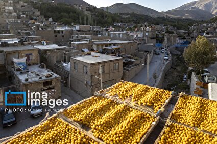 تصاویر/ خُرو؛ پایتخت آلوی ایران