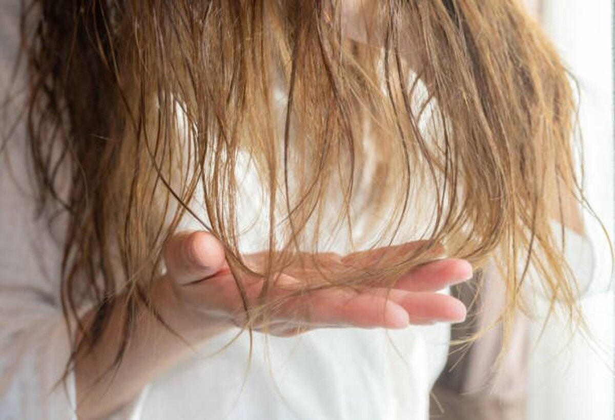 نسخه خانگی برای رفع خشکی مو