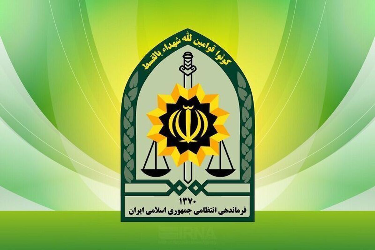 توضیح پلیس درباره بازداشت بازیگر معروف سینما