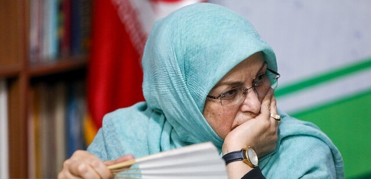 رئیس جبهه اصلاحات ایران: دشمن نظام نیستیم