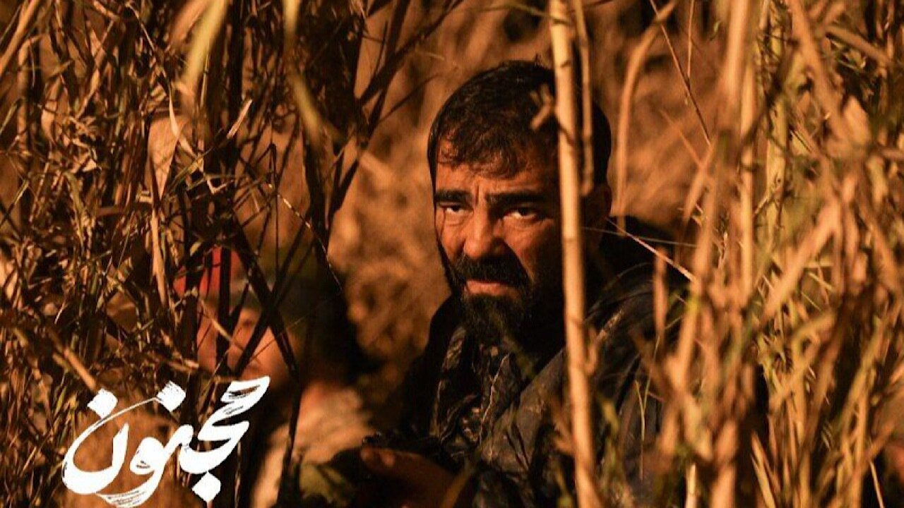 آقای قاضی را در جزیره مجنون ببینید آقای قاضی را در جزیره مجنون ببینید