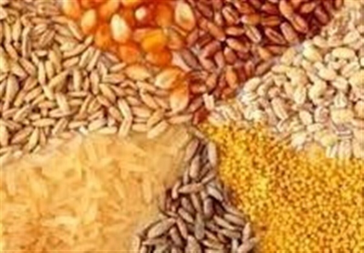 موافقت نمایندگان با تحقیق و تفحص از واردات نهاده‌های دامی