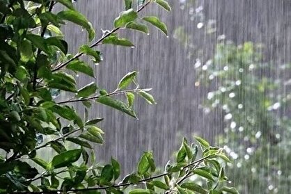 هواشناسی ۱۴۰۴/۰۷/۰۸/ بارش باران در ۵ استان/ فردا، بارندگی شدید در گیلان و مازندران