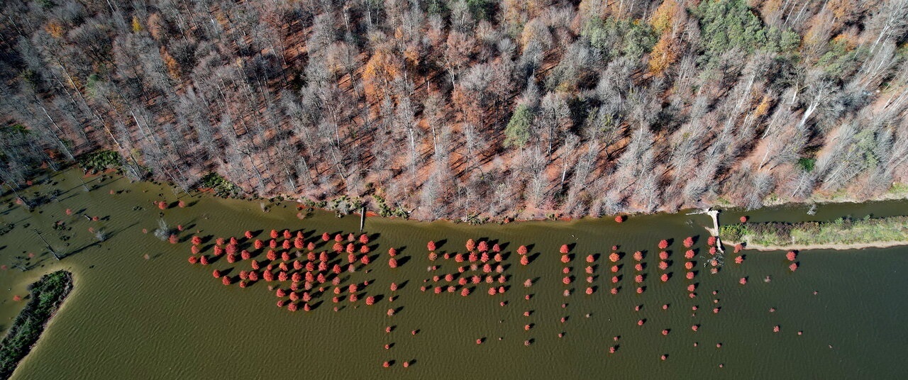 تصاویر/ زمین در قاب آفریدگار