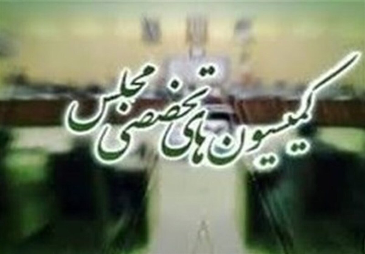 هفت وزیر کابینه به کمیسیونهای مجلس میروند