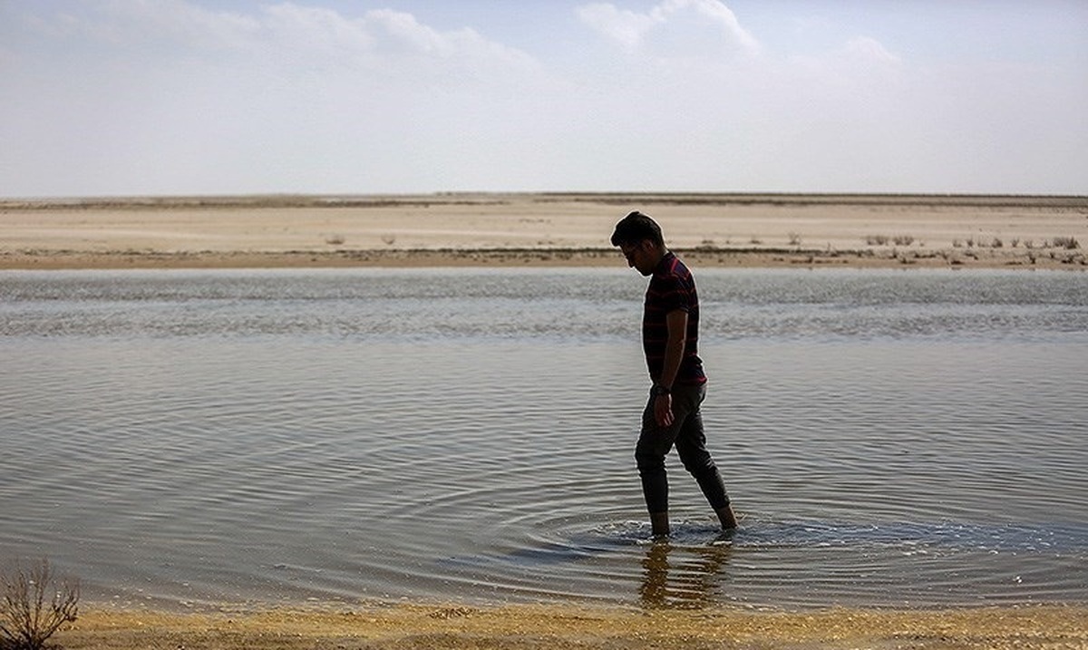 مرگ ۶۰ درصد تالاب‌های ایران در تابستان ۱۴۰۴