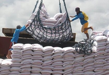 رانت دبش؛ برنج یک دلاری را ۲۲۸ هزار تومانی به مردم می فروشند!