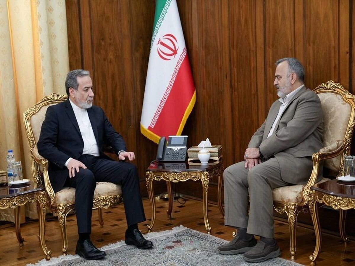 عراقچی: وزارت امور خارجه خادم زائران است