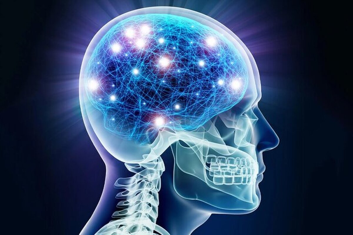 تکنیک‌های طلایی برای تقویت حافظه