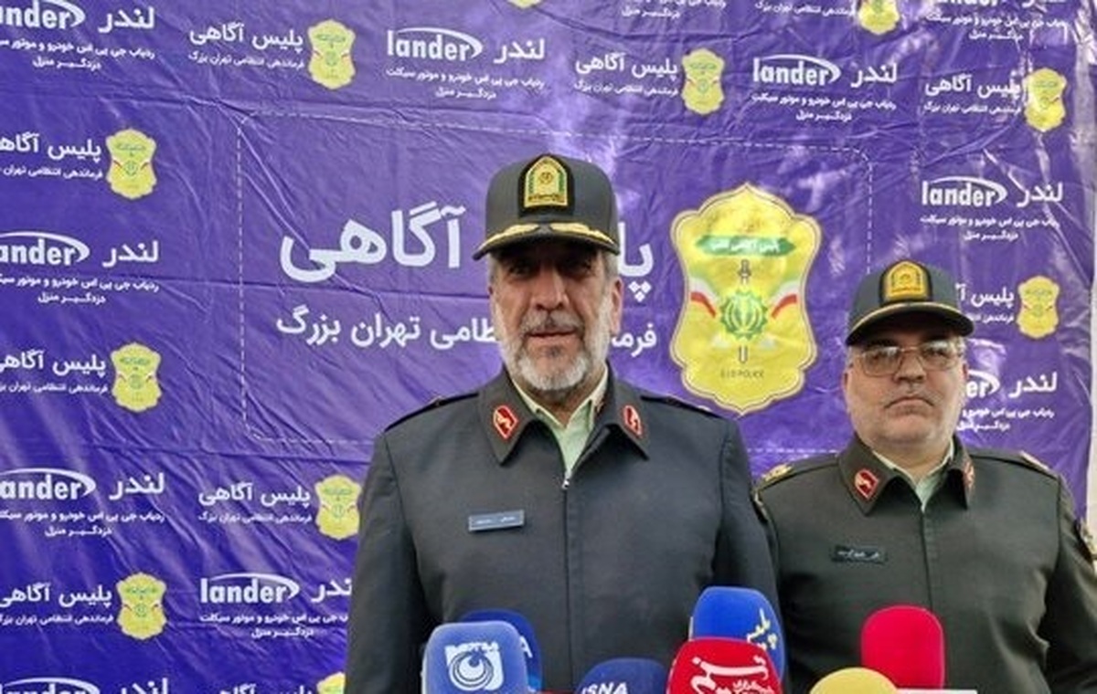 ۲۳۳ سارق و مالخر دستگیر شدند