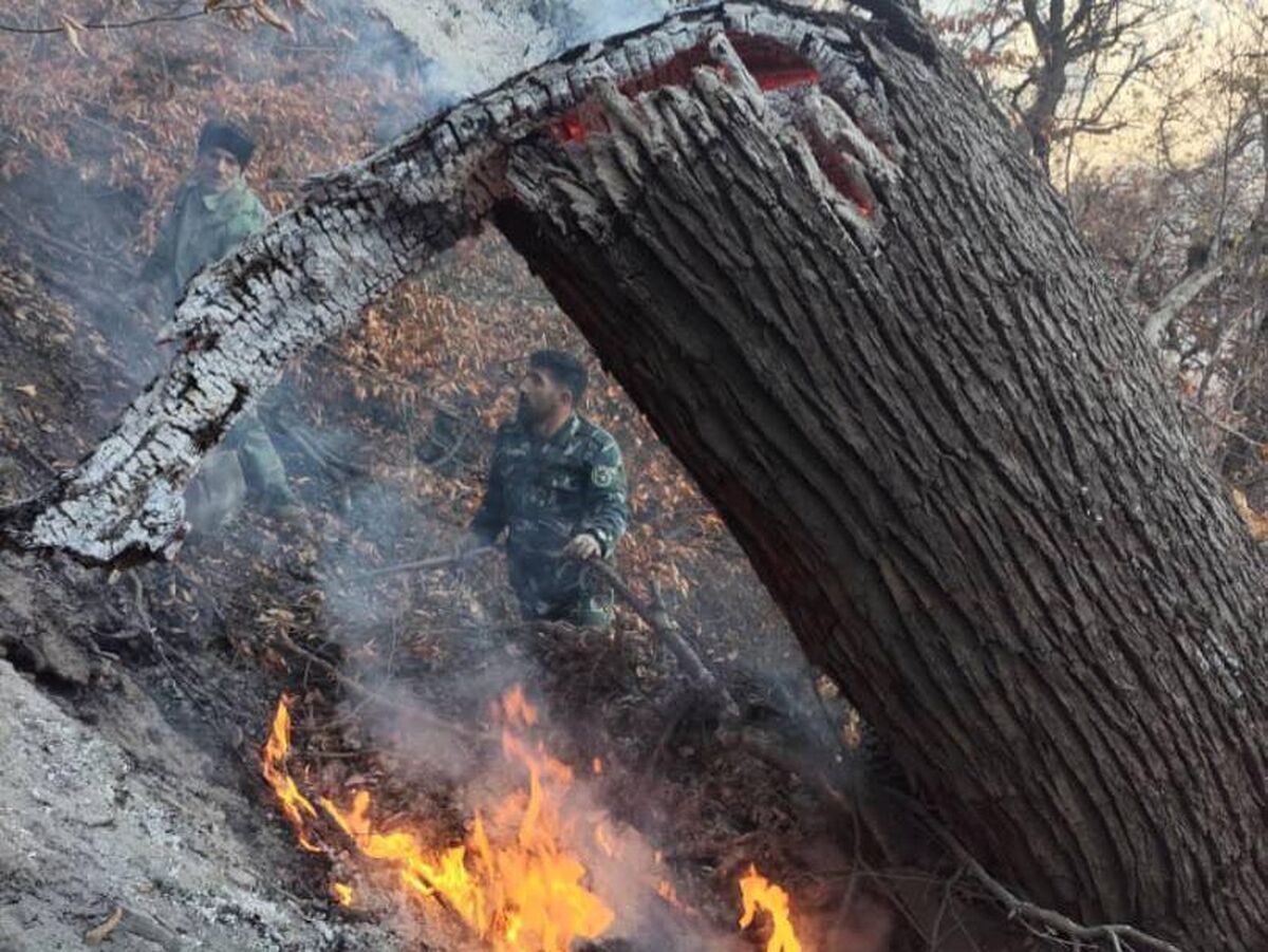 آتش در جنگل چالوس شعله‌ور شد