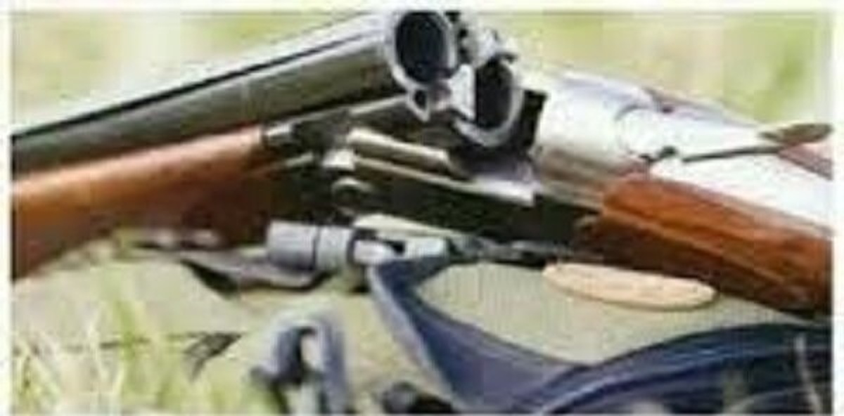 قتل سه نفر در زاهدان/ برادران قاتل دستگیر شدند