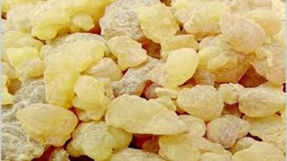 کندر می‌تواند التهاب ناشی از‌ام‌اس را کاهش دهد