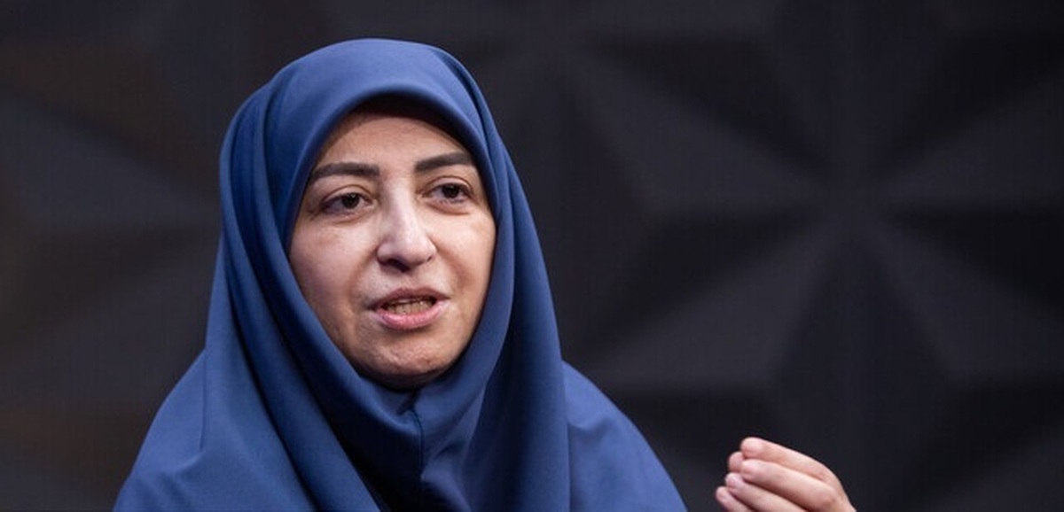 دعوت انصاری از ثابتی برای بررسی اسناد سفر برزیل در سازمان محیط زیست