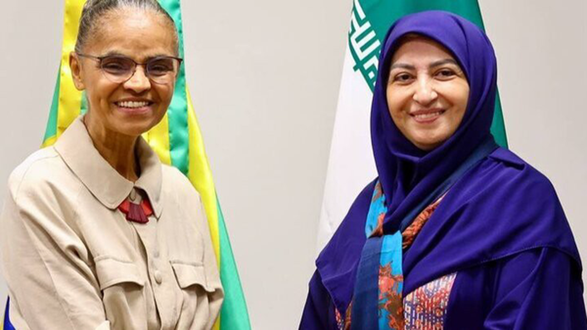 جنجال هزینه سفر رئیس سازمان محیط‌زیست به برزیل