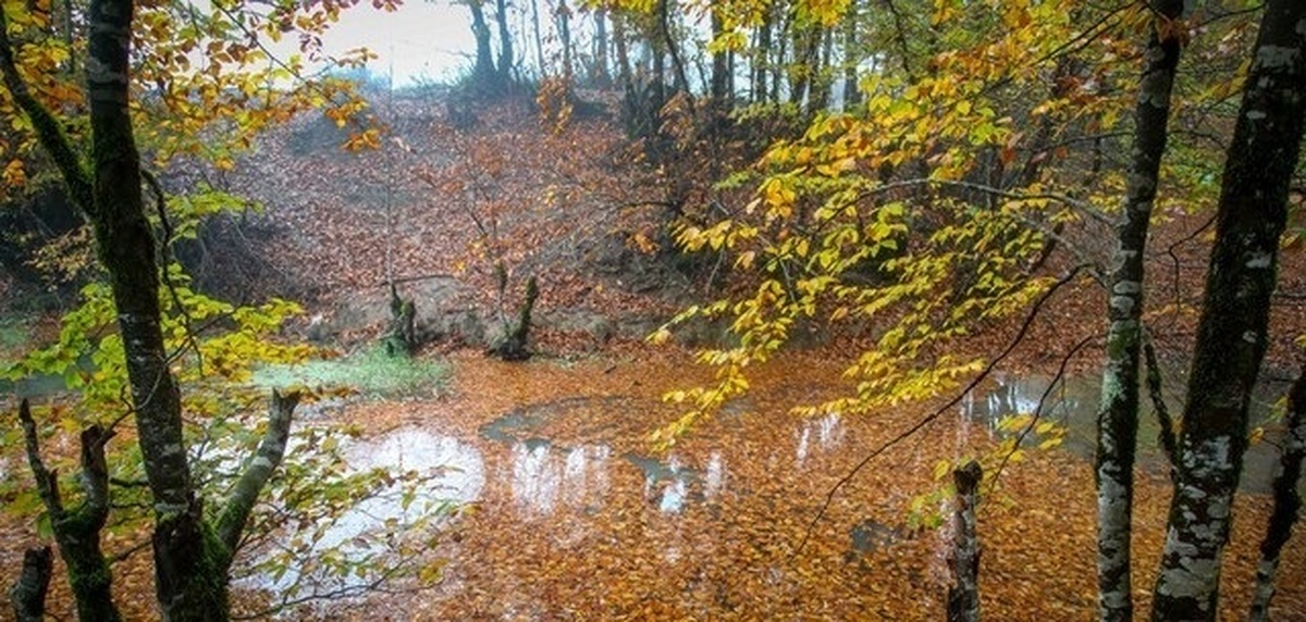 پیش بینی دما و بارش برف و باران تا پایان آذرماه