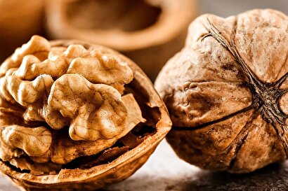 خوردن گردو در شب چه خواصی دارد؟