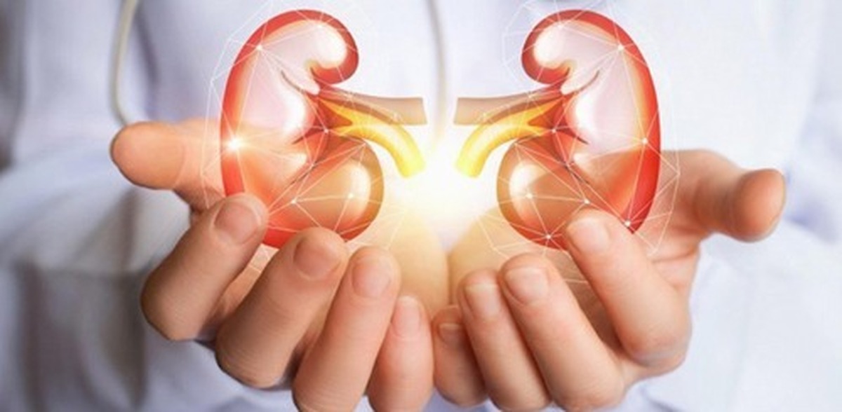 این بیماری کلیوی تا به مرحله دیالیز نرسد بی علامت می‌ماند؛ هر از گاهی آزمایش ادرار بدهید!