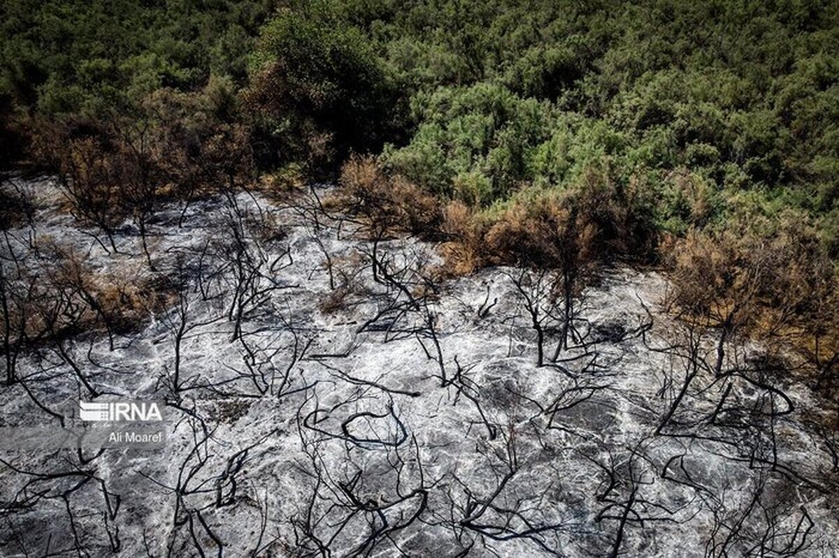 درخواست سومین بالگرد برای مهار آتش در جنگل‌های چالوس