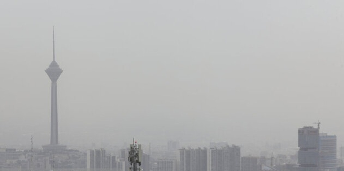 ذرات معلق هوای تهران شامل چه عناصری است؟