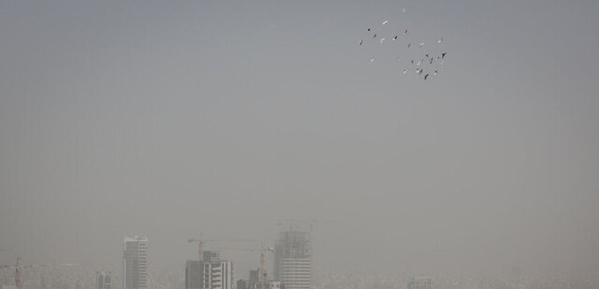 وزش باد شدید و خیزش گرد و خاک در برخی مناطق کشور