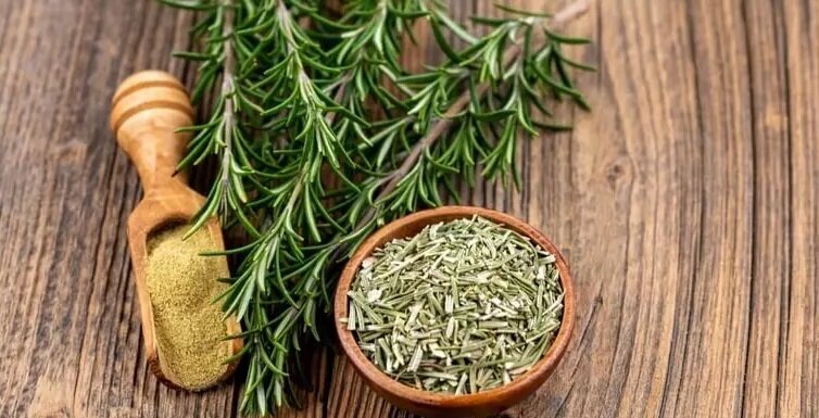 چطور از روغن رزماری برای رشد مجدد مو‌ها استفاده کنیم؟