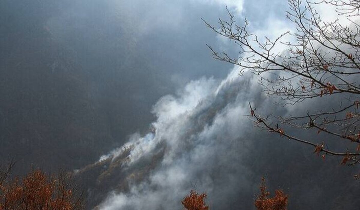 آتش در جنگل‌های چالوس / اعزام ۳ بالگرد و دستور عارف