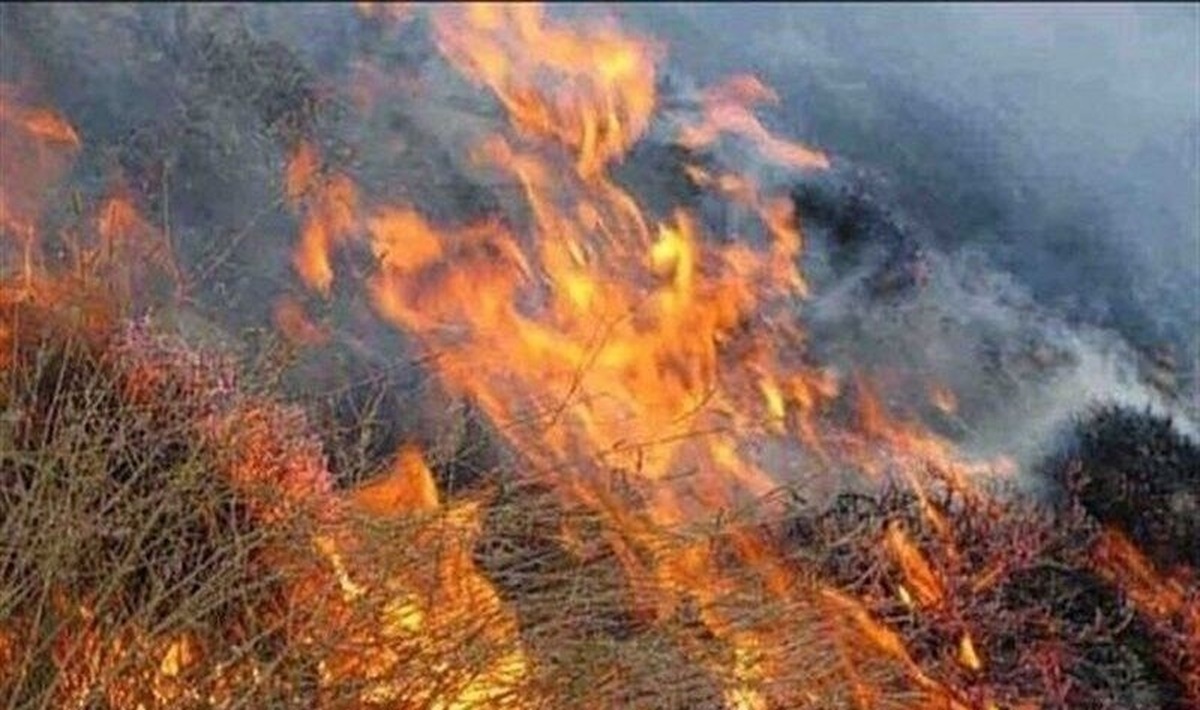 آتشسوزی در جنگلهای «ارس» خراسان رضوی