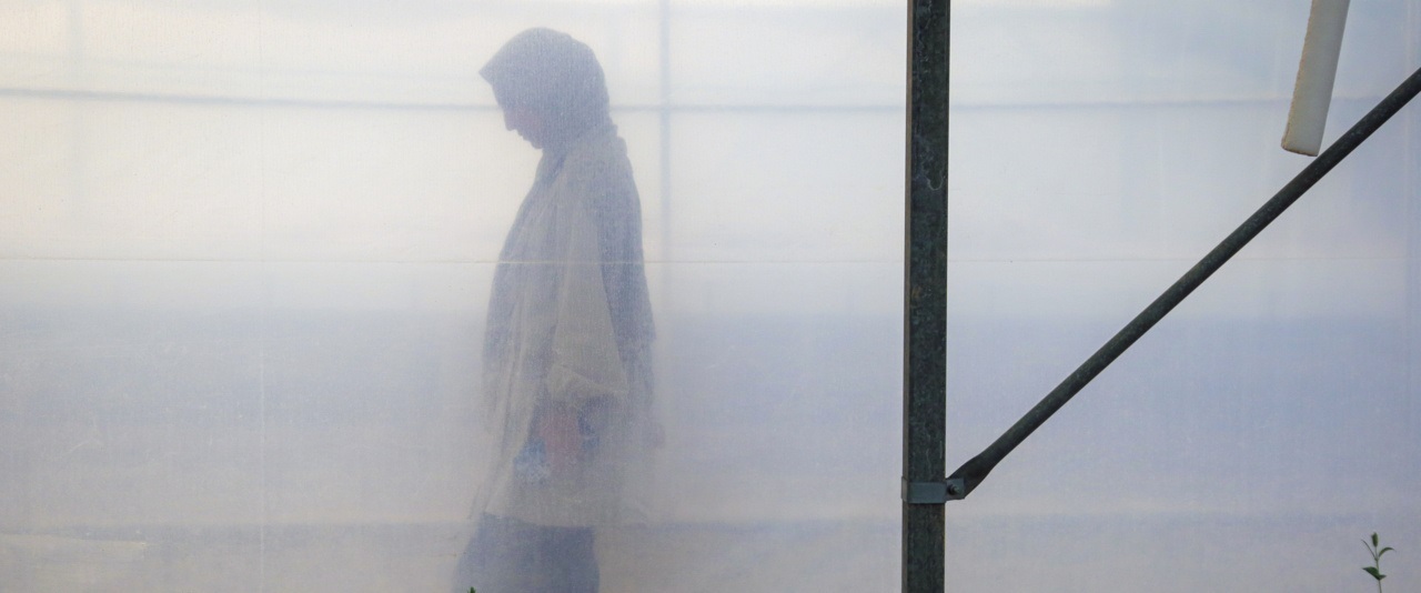 تصاویر/ روزی در خاک و دریا