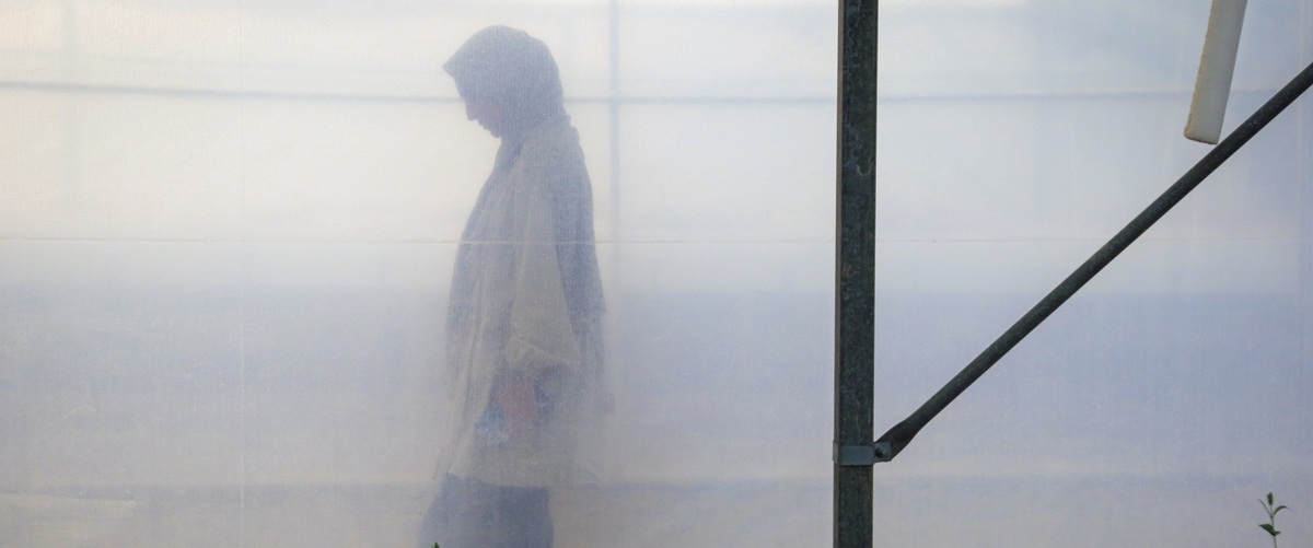 تصاویر/ روزی در خاک و دریا