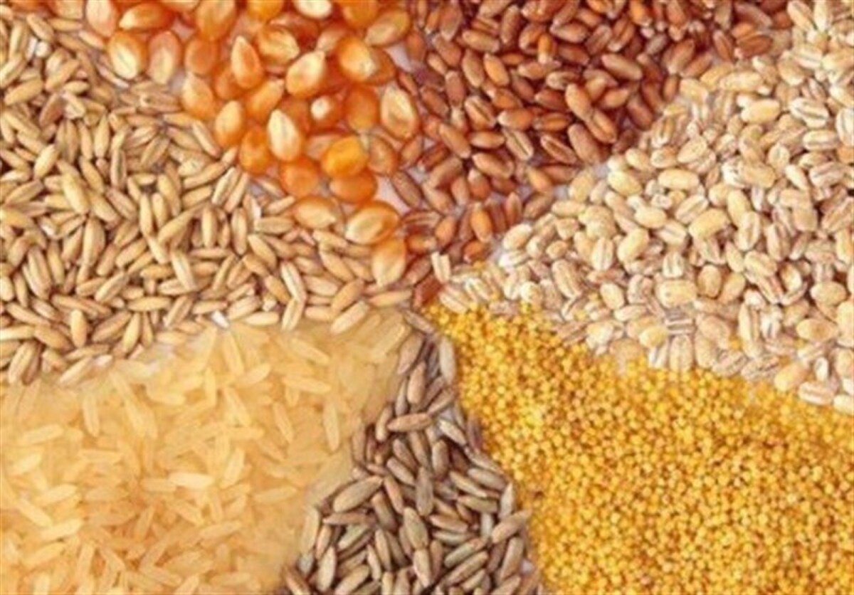 ضوابط جدید واردات نهادههای دامی اعلام شد