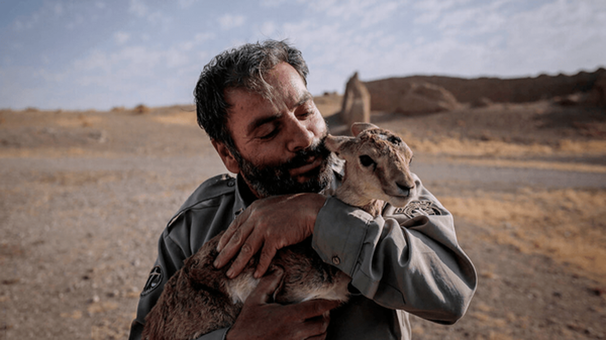 نیمی از پستهای محیطبانی هنوز خالیاند