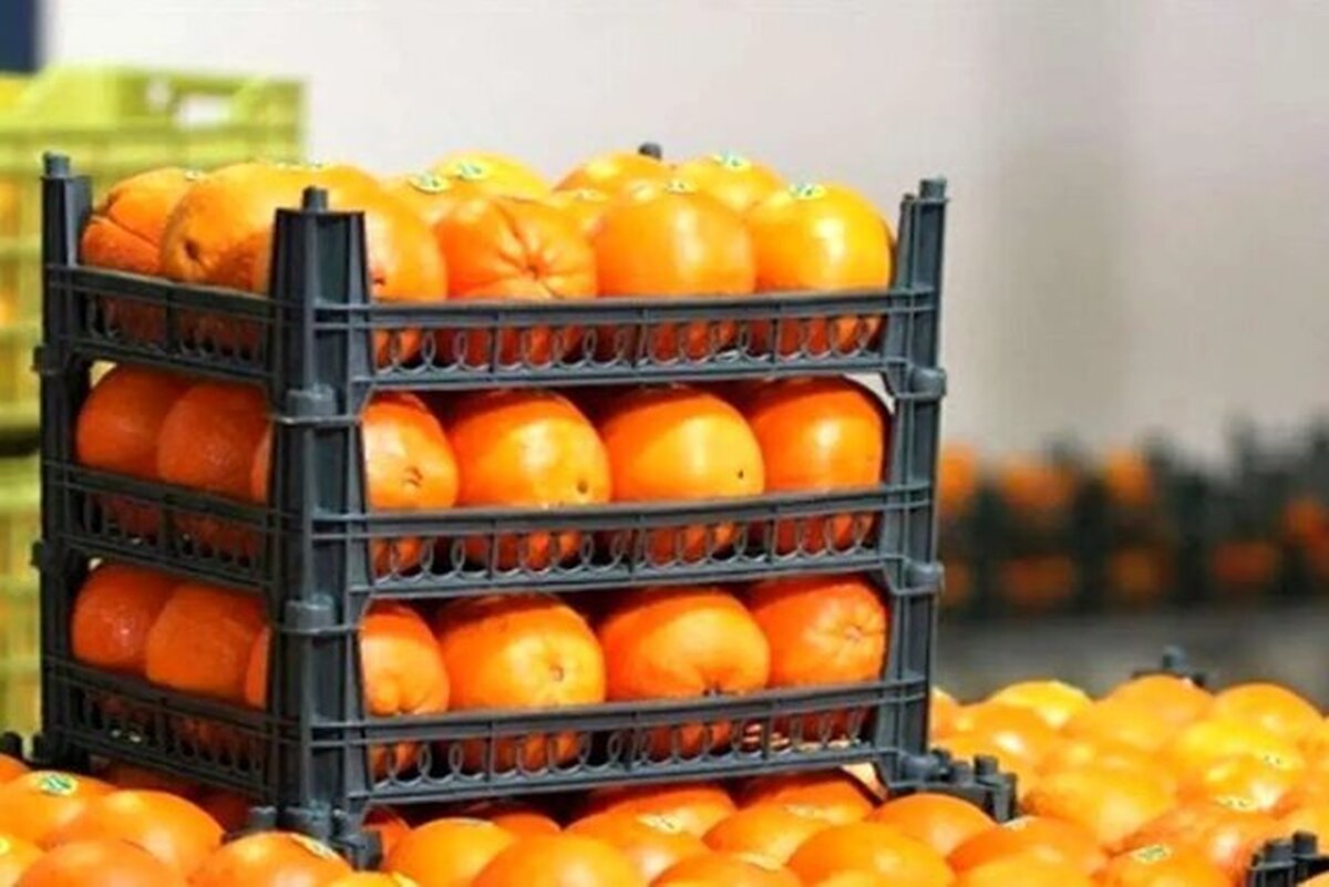 ماجرای پرتقال سمی در ایران چیست؟