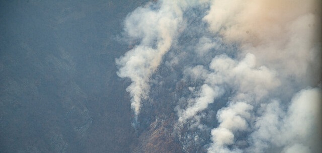 رایزنی ایران با روسیه و ترکیه برای جنگل الیت چالوس