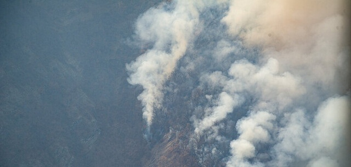 رایزنی ایران با روسیه و ترکیه برای جنگل الیت چالوس