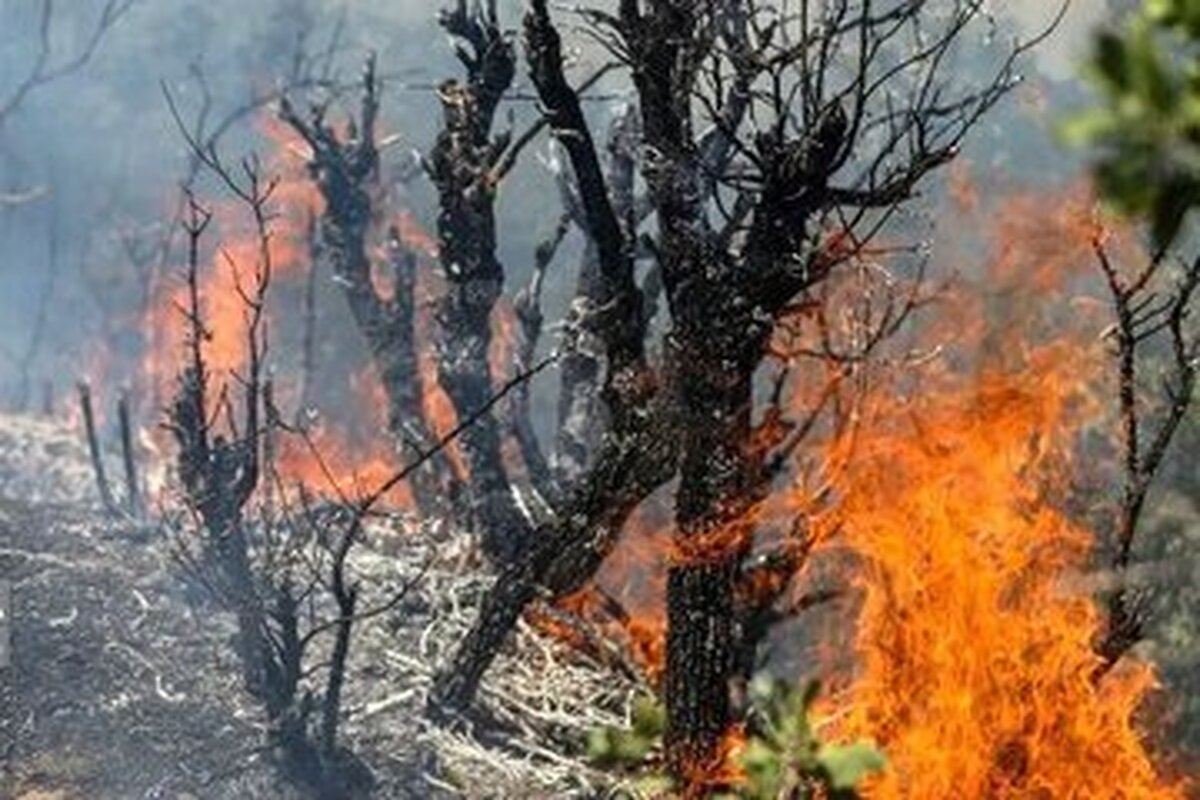 اعزام هواپیماهای اطفای حریق از ترکیه برای مهار آتش جنگل الیت