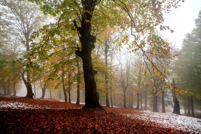 هواشناسی ۱۴۰۴/۰۹/۱۰/ باران در غرب و ارتفاعات و دامنه‌های جنوبی البرز