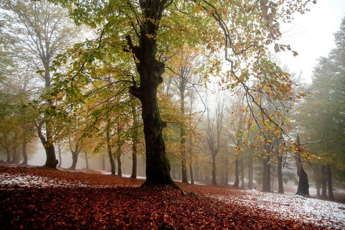 هواشناسی ۱۴۰۴/۰۹/۱۰/ باران در غرب و ارتفاعات و دامنه‌های جنوبی البرز