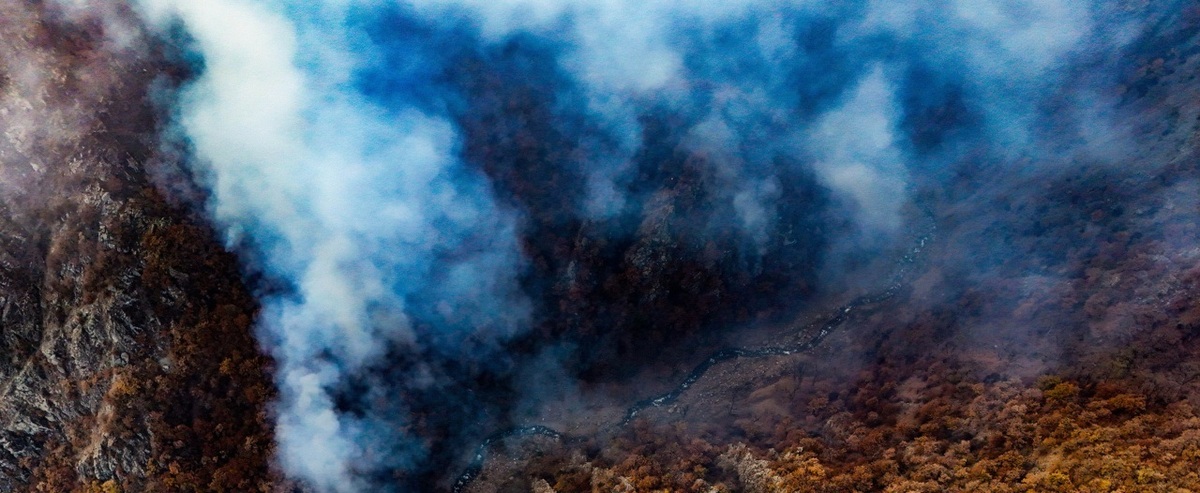 از بین رفتن خاک آلی چند میلیون ساله با آتش‌سوزی جنگل‌های الیت