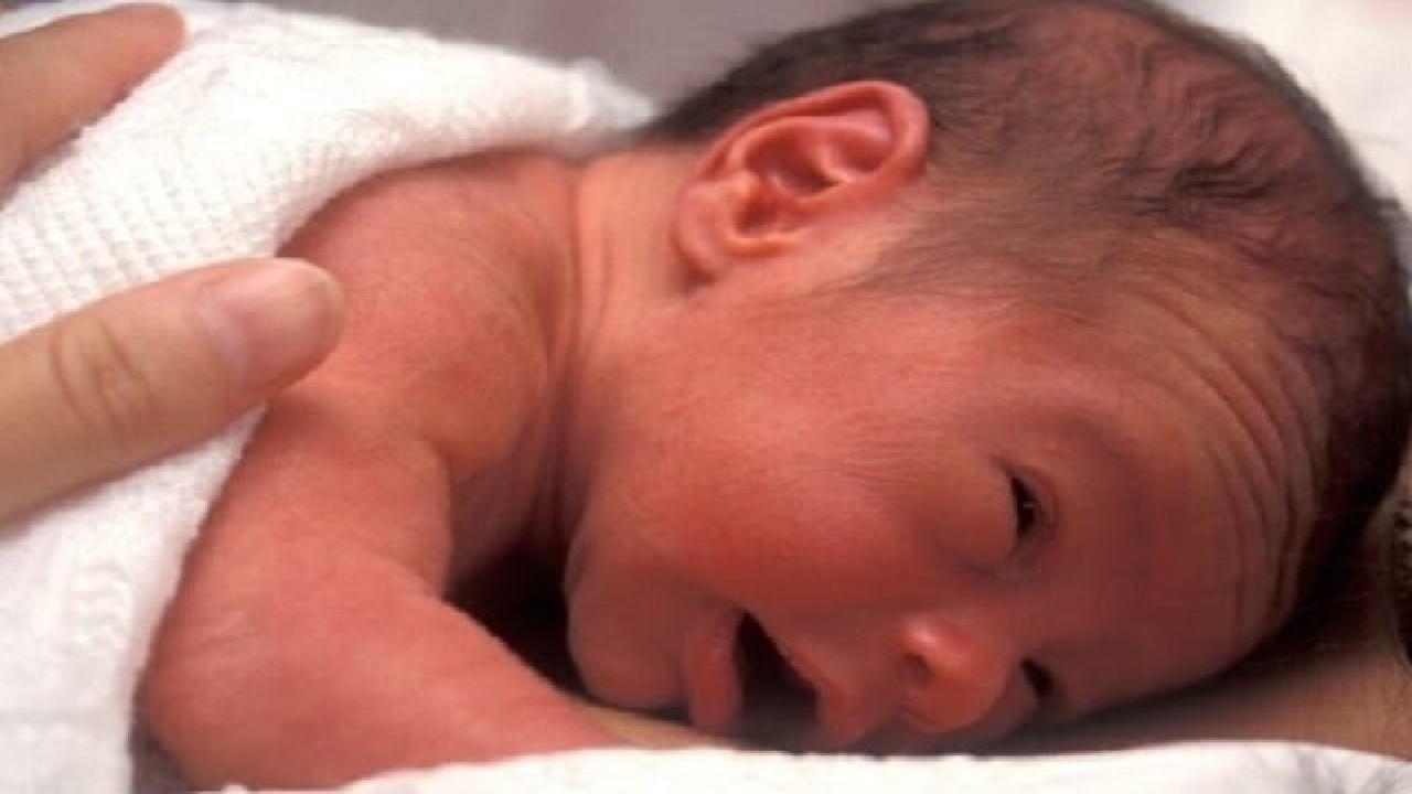 آلودگی هوا و خطری که جنین‌ها را تهدید می‌کند