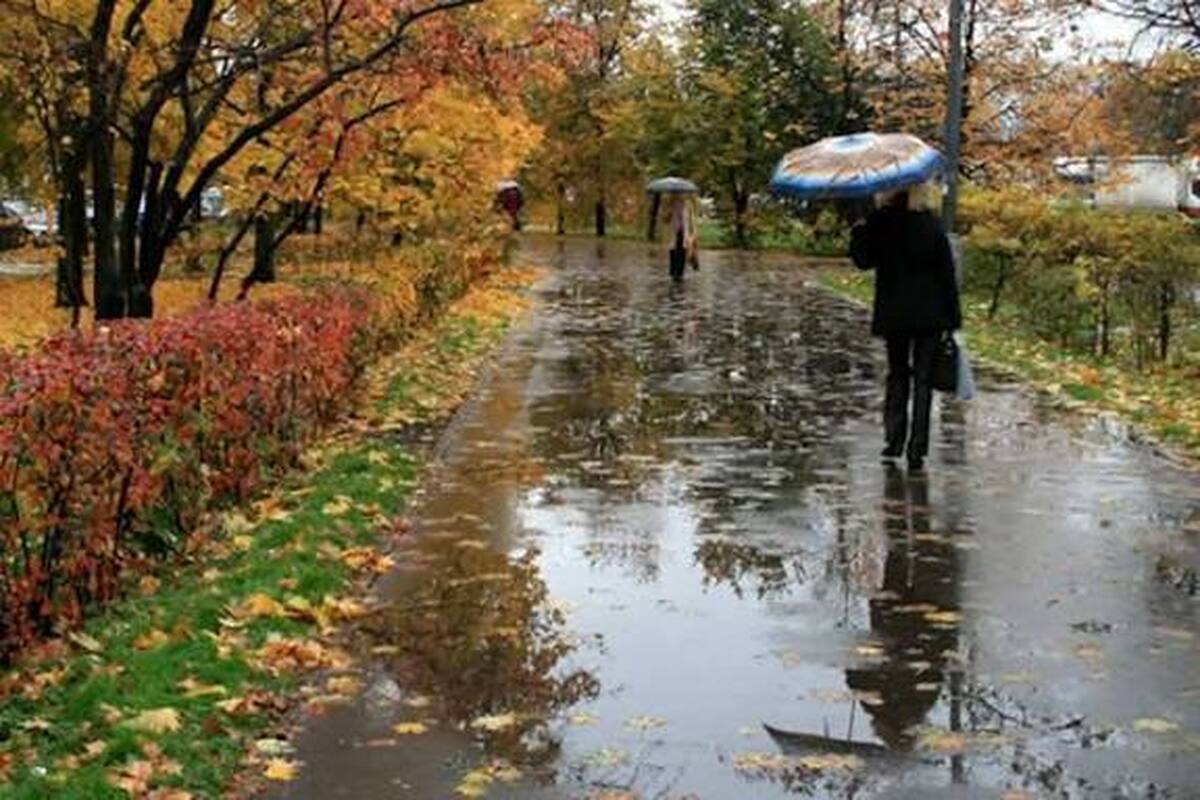 خبر خوب هواشناسی؛ پیش بینی باران‌های نرمال در بهار آینده