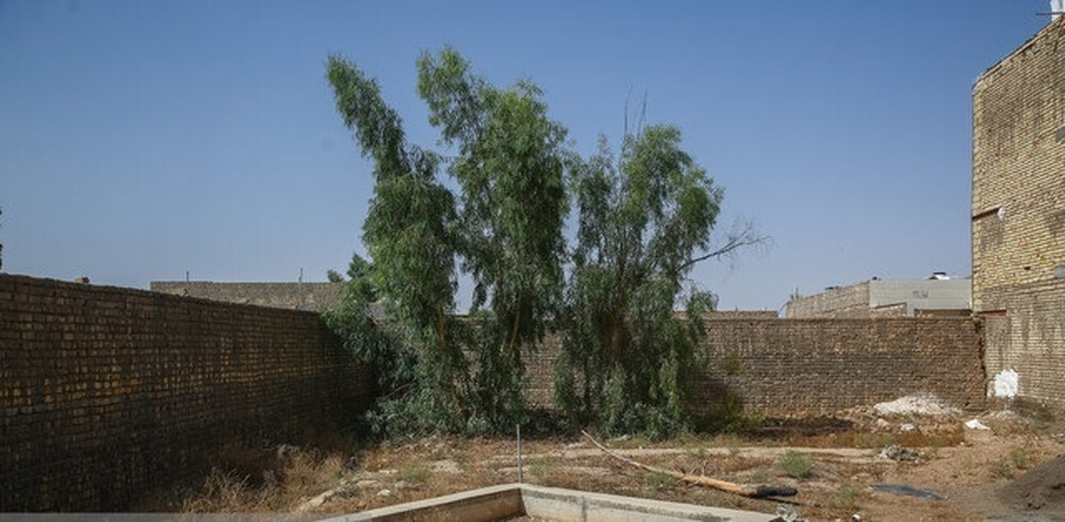 هشدار جدی درباره بحران آب و فرونشست