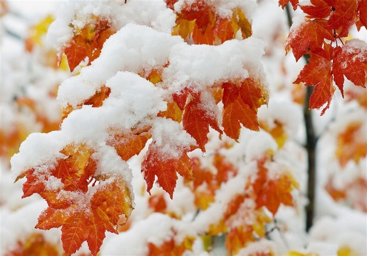 هواشناسی ۱۴۰۴/۹/۱۶؛ برف و باران در ۲۳ استان/هشدار نارنجی برای ۱۷ استان
