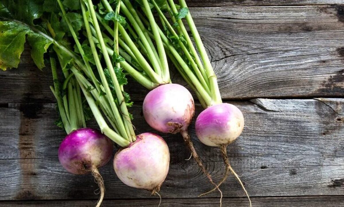 شلغم داروی سلامتی روز‌های سرد سال + اثرات ضد سرطانی