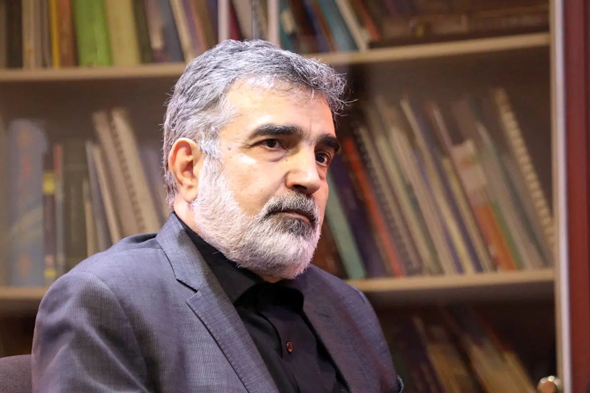 توضیحات سخنگوی سازمان انرژی اتمی درباره همکاری با آژانس