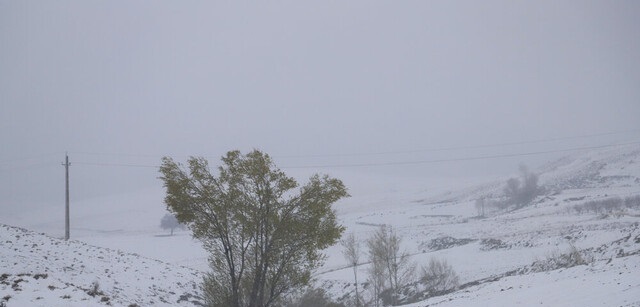 بارش برف و باران در ۲۸ استان/ از سفر غیرضروری بپرهیزید