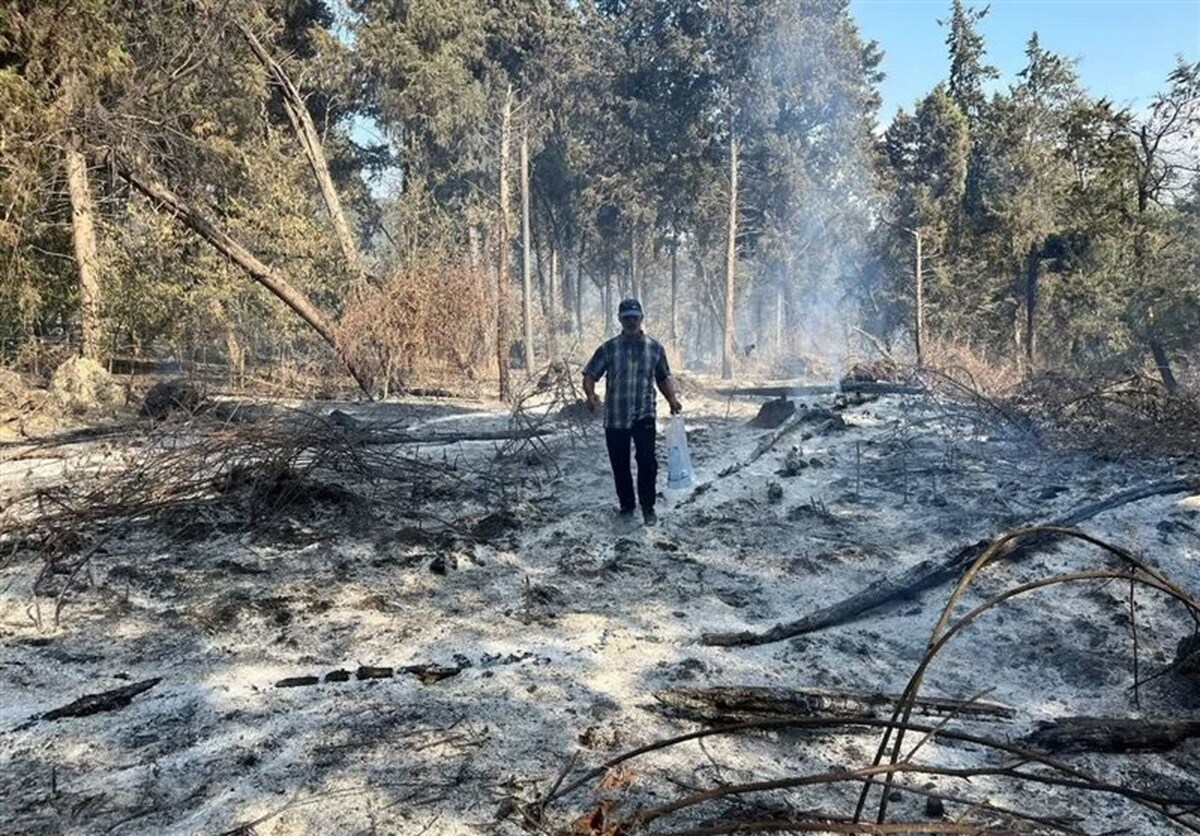 گسترش آتش‌سوزی در جنگل هیرکانی متوقف شد