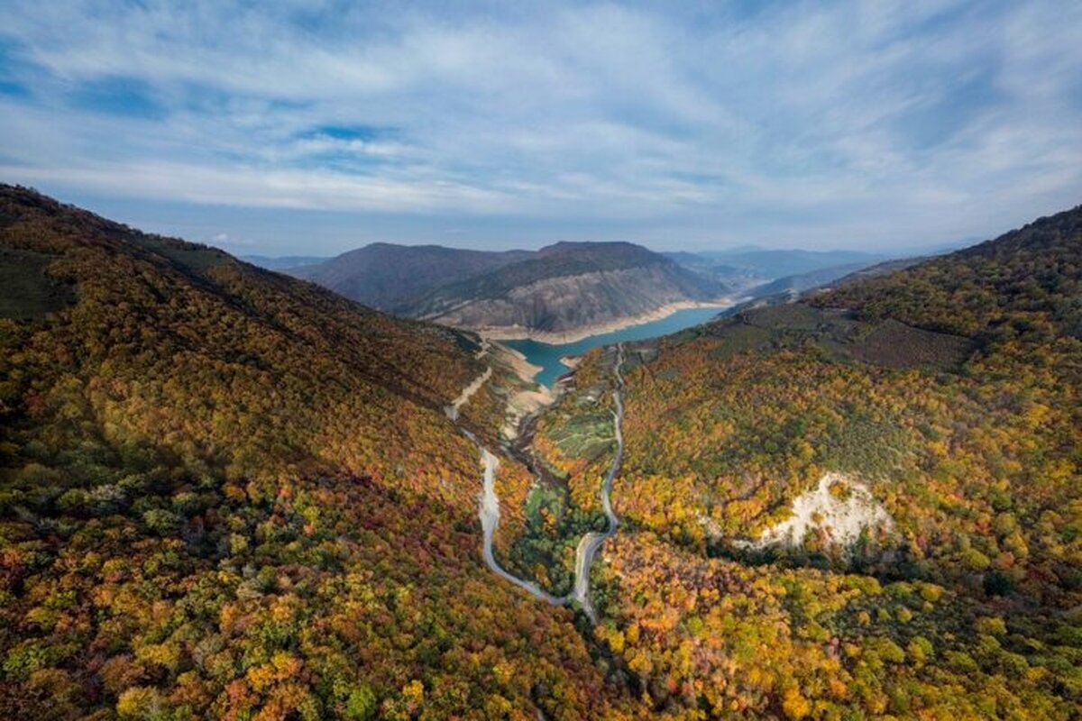 جنگل‌های هیرکانی مازندران را بهتر بشناسیم