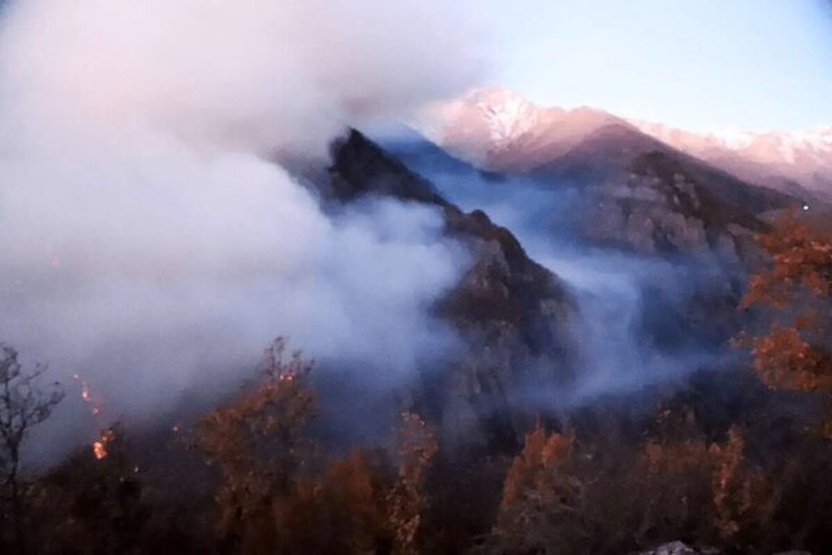 چرا آتش به جان جنگل الیت افتاد؟