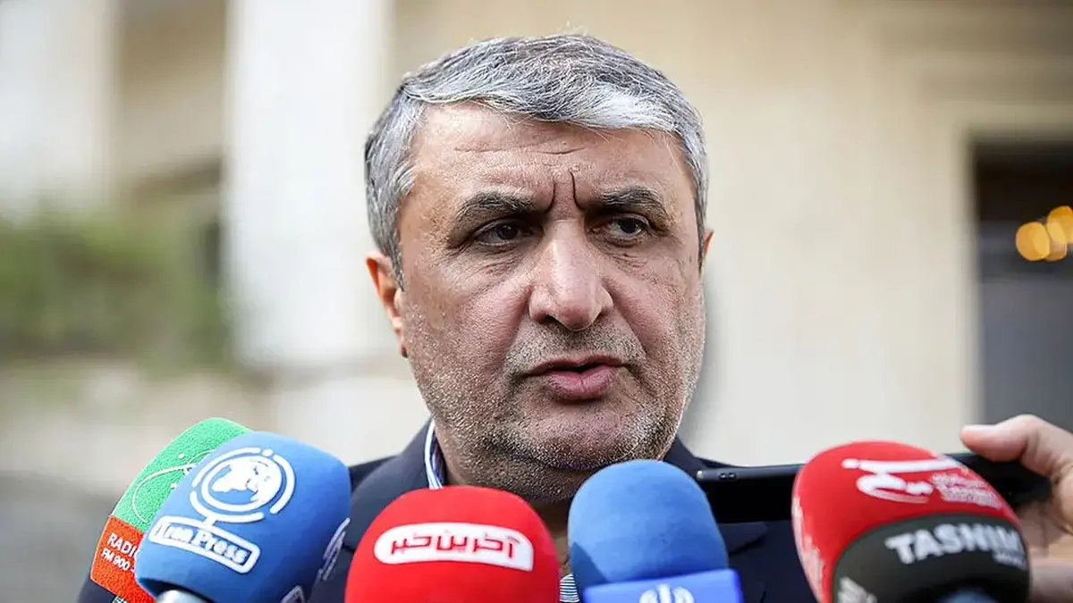 رییس سازمان انرژی اتمی: آژانس حق ندارد ادعای بازرسی داشته باشد